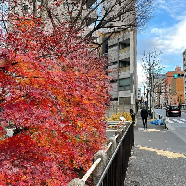 新宿御苑