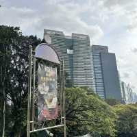 綠油油的國家天文館