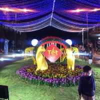 Lunar New Year Festivities in Vietnam!