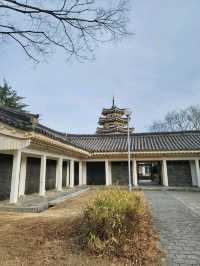 곧 목련이 피어날 경주 보문단지의 히든스팟📸