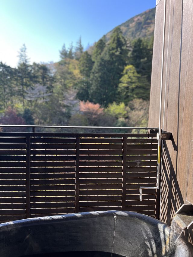 箱根溫泉酒店