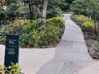 🇰🇷韓國濟洲必訪景點🍵 Osulloc Tea Museum 오설록 티 뮤지엄