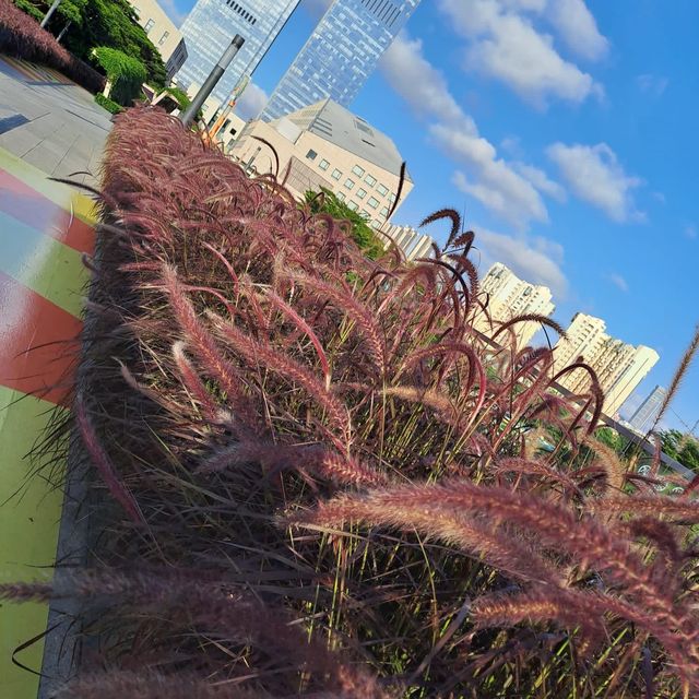 深圳冬瓜嶺站❤️‍🔥深業上城❤️‍🔥港人最愛打卡地