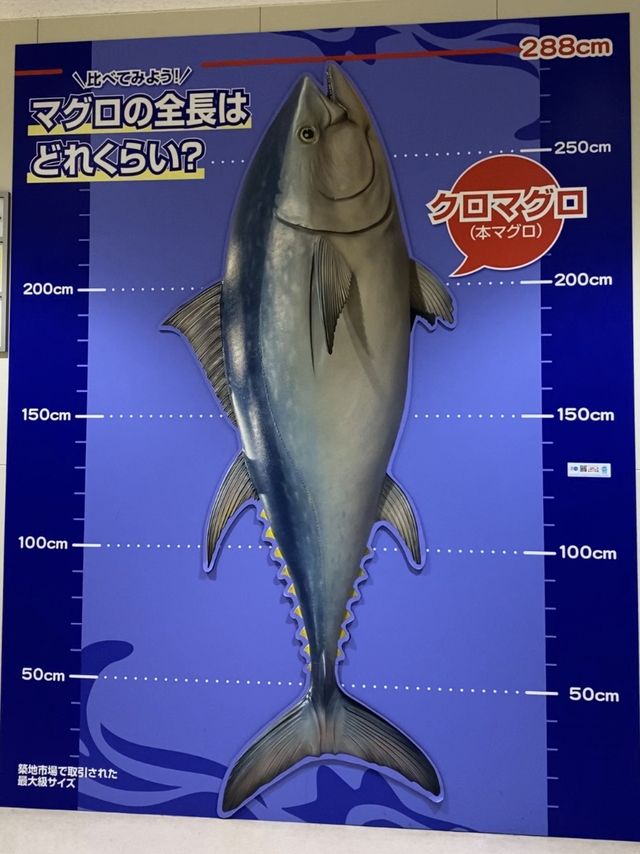 📍日本東京豐州市場又食又拎🤤