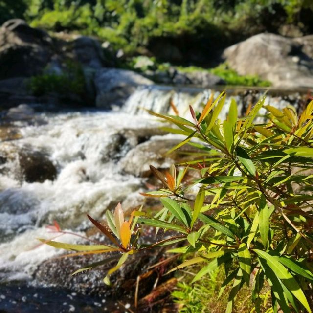 ภูอิงธาร