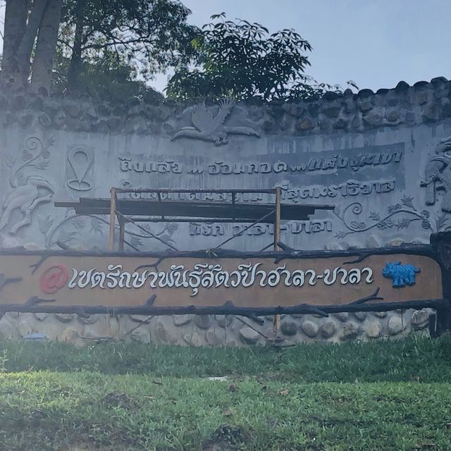 นำ้ตกสิรินธร@เขตรักษาพันธุ์สัตว์ป่าฮาลา-บาลา 