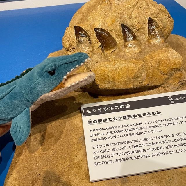 【横浜赤レンガ】かいけつゾロリどきどき恐竜アドベンチャー