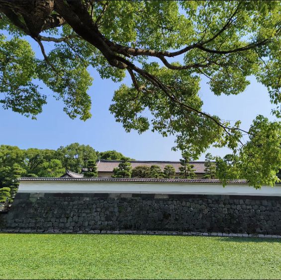 皇家探險，發現東京皇居的秘密寶藏！🏰🌸🗝️