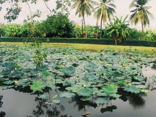 พาเที่ยวชมประสาทศรีขภูมิ โบราณสถานในสุรินทร์