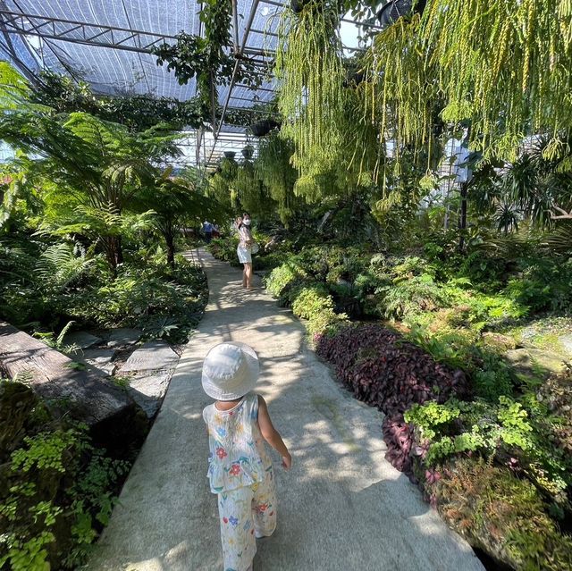 คาเฟ่ 🍵 ป่า ในเมืองปูน 