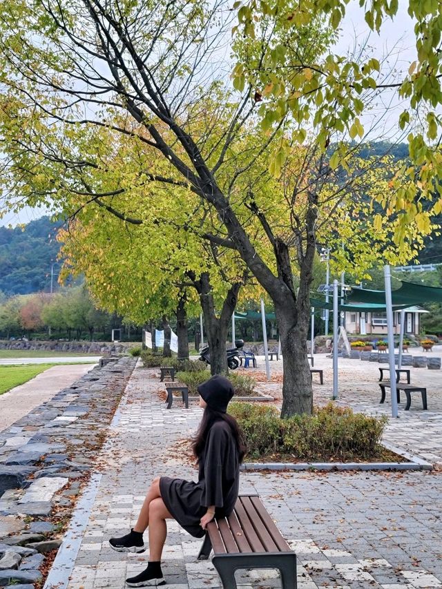 우리나라에서 가장 오래된 돌다리 진천농다리🪨