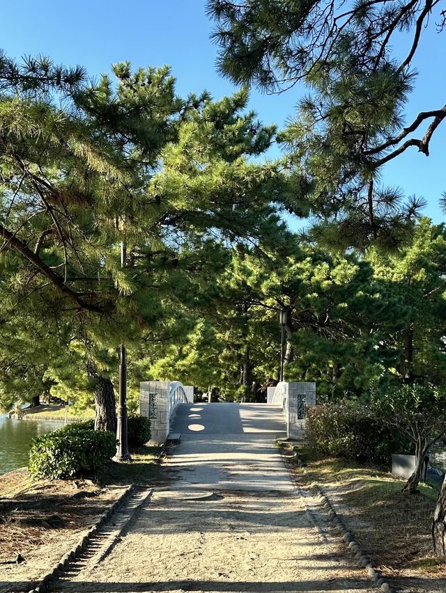후쿠오카 필수 여행코스, 오호리공원 🐤
