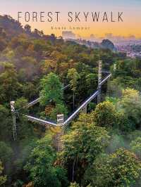Walking on 🌳 FOREST SKYWALK 🌳