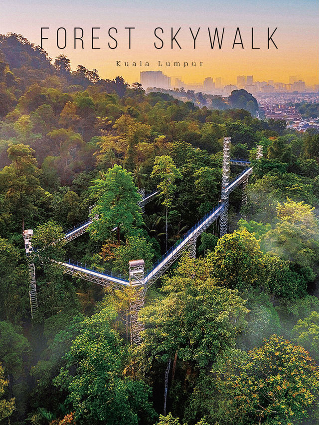 Walking on 🌳 FOREST SKYWALK 🌳