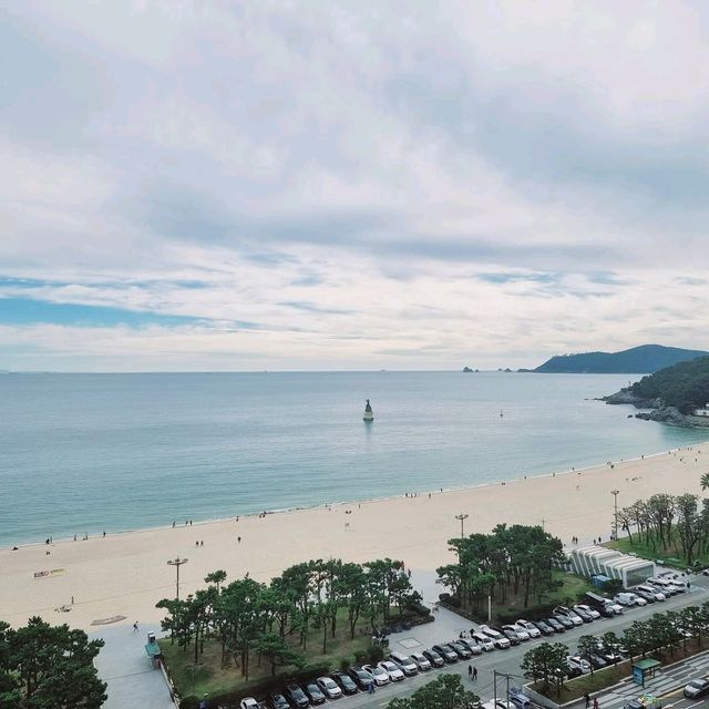 Busan is Beautiful!