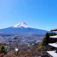 discover Autumn with a view of Mount Fuji