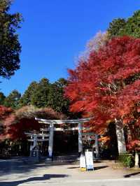 【秩父】関東屈指のパワースポット❗️三峯神社✨