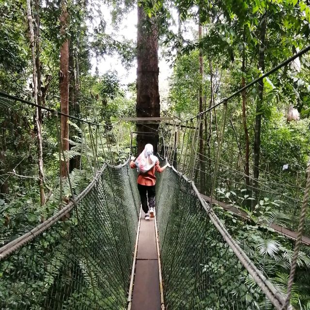 Taman Negara (2d1n)