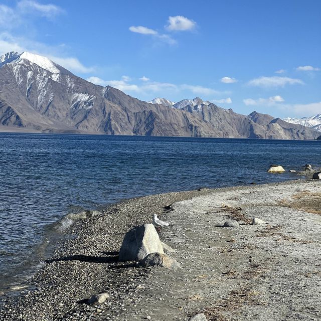 Leh Ladakh ที่นี่อินเดียวิวหลักล้าน