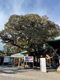 【栃木県/二荒山神社】2023年行って良かった！栃木県の神社③