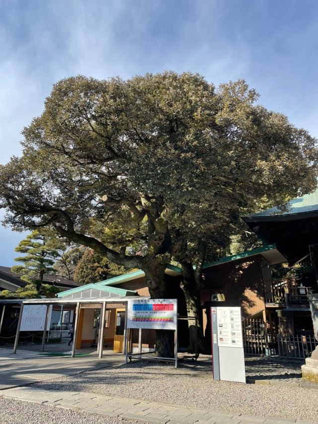 【栃木県/二荒山神社】2023年行って良かった！栃木県の神社③