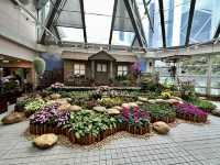 香港公園 — 球根植物展覽