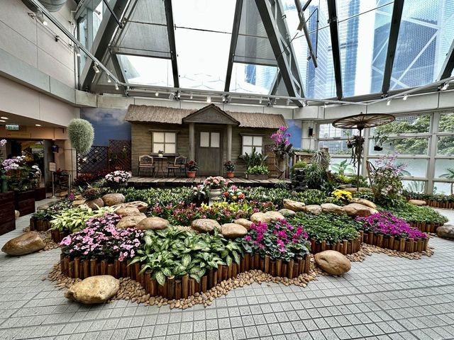 香港公園 — 球根植物展覽