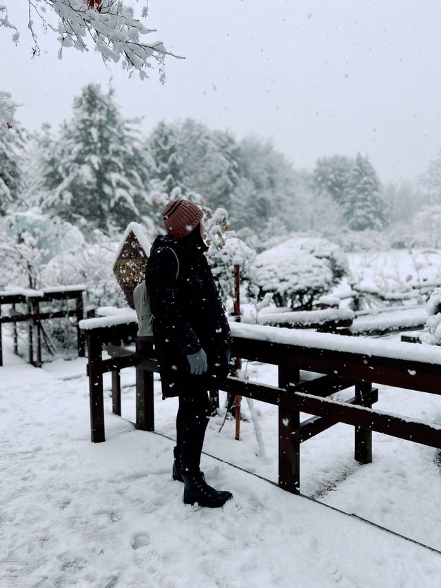 WINTER BIRTHDAY IN NAMI ISLAND