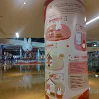 City Plaza × Miffy 花兔賀新春