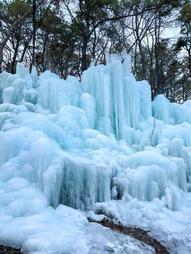 서울근교 얼음왕국 카페❄️💙