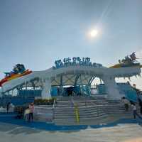 原來可以帶狗狗遊海洋公園!