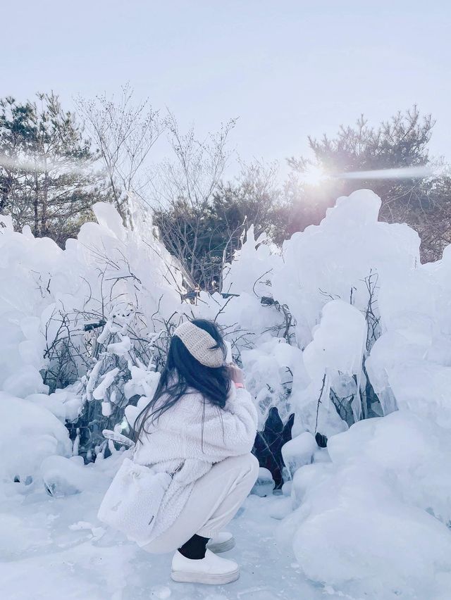 경남인도 눈이 보고싶었어요…