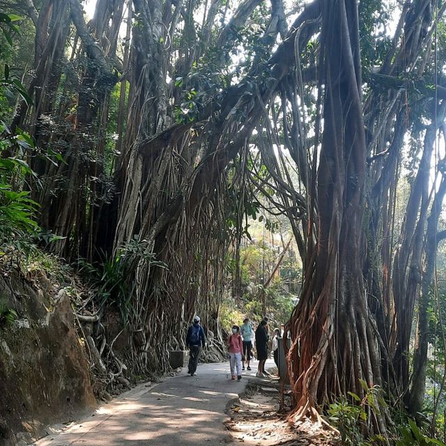 輕輕鬆鬆山頂之旅⛰