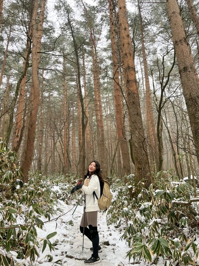 2월말, 한라산 백록담 등반기🥾🏃‍♀️