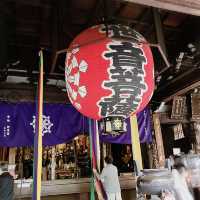 【京都】京の春を告げる早咲き桜🌸