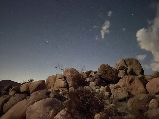 별이 쏟아지는 조슈아의 밤하늘💫