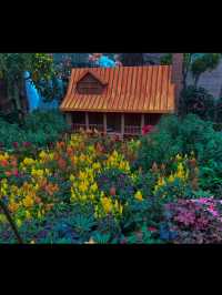 Extraordinary Flower Field