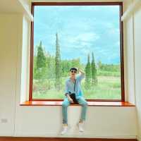 Tellus Cafe Khaoyai วิวป่าสนต่างประเทศ