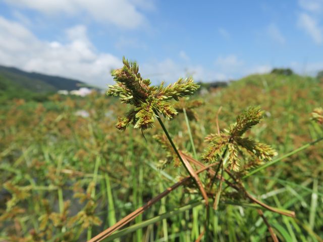 宜蘭陸上的龜山島⛰️《蘭陽博物館》✨