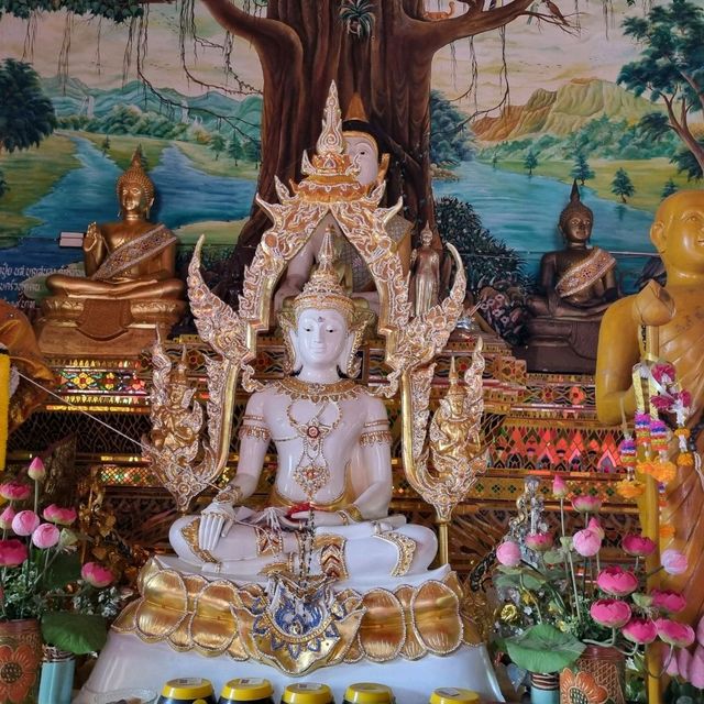 วัดดี โอโซนเด่น ต้องมาที่วัดนาคูหา