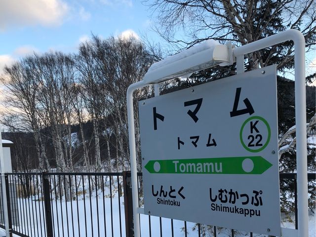 🏂 北海道星野TOMAMU度假村