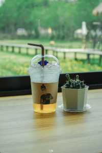 เมอ'นาคาเฟ่