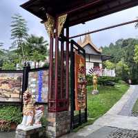 《雲林古坑》