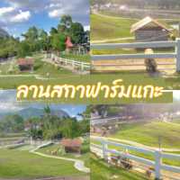 ลานสกาฟาร์มแกะ นครศรีธรรมราช