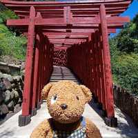 ศาลเจ้ายูโทคุอินาริ yutoku inari shrine