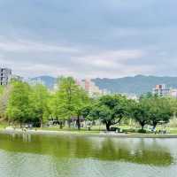 湖畔漫步🌳🏞️台北碧湖公園💎