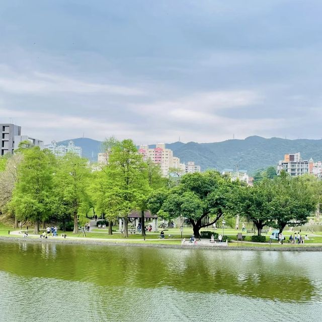 湖畔漫步🌳🏞️台北碧湖公園💎