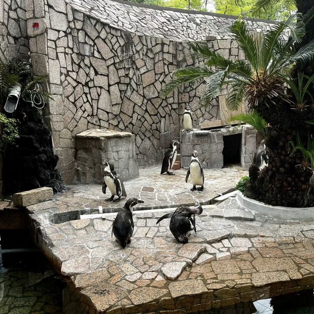 🎨🌍江戶川區自然動物園與動物奇趣😄🐛
