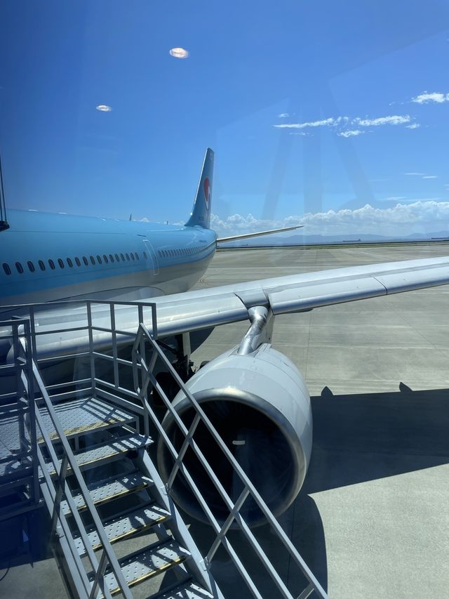 初めての大韓航空✈️ステキな旅でした