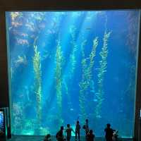 屏東景點-國立海洋生物博物館